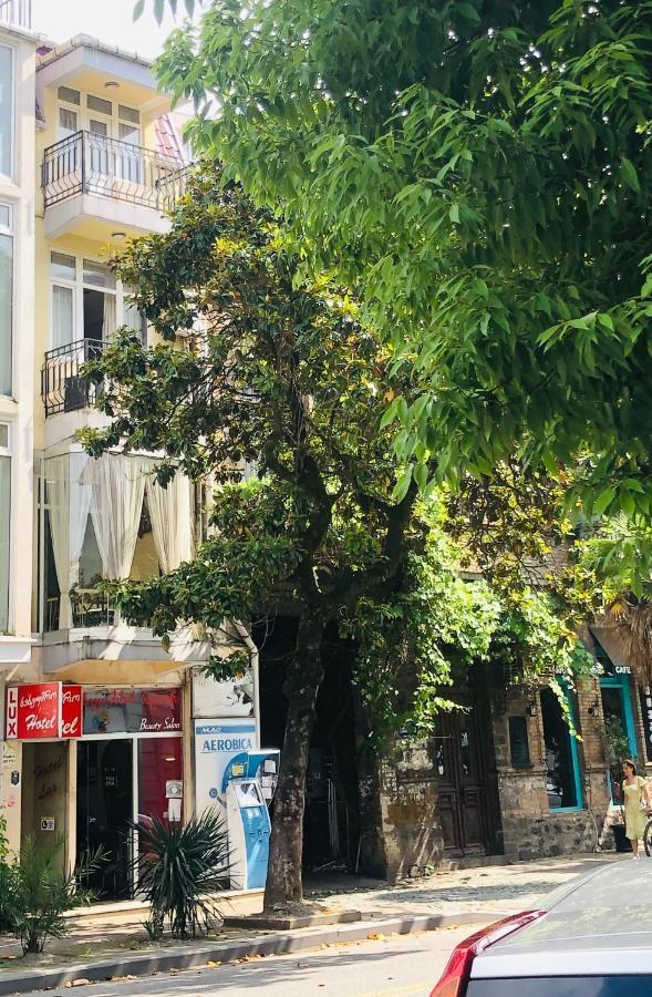 Hotel Dolphin Batumi Ngoại thất bức ảnh